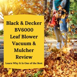 man blowing leaves with a black and decker bvv6000